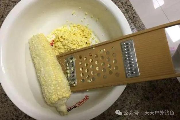 秋季釣草魚用什么餌料最好_鮮玉米搓餌釣草魚_釣草魚最佳水溫