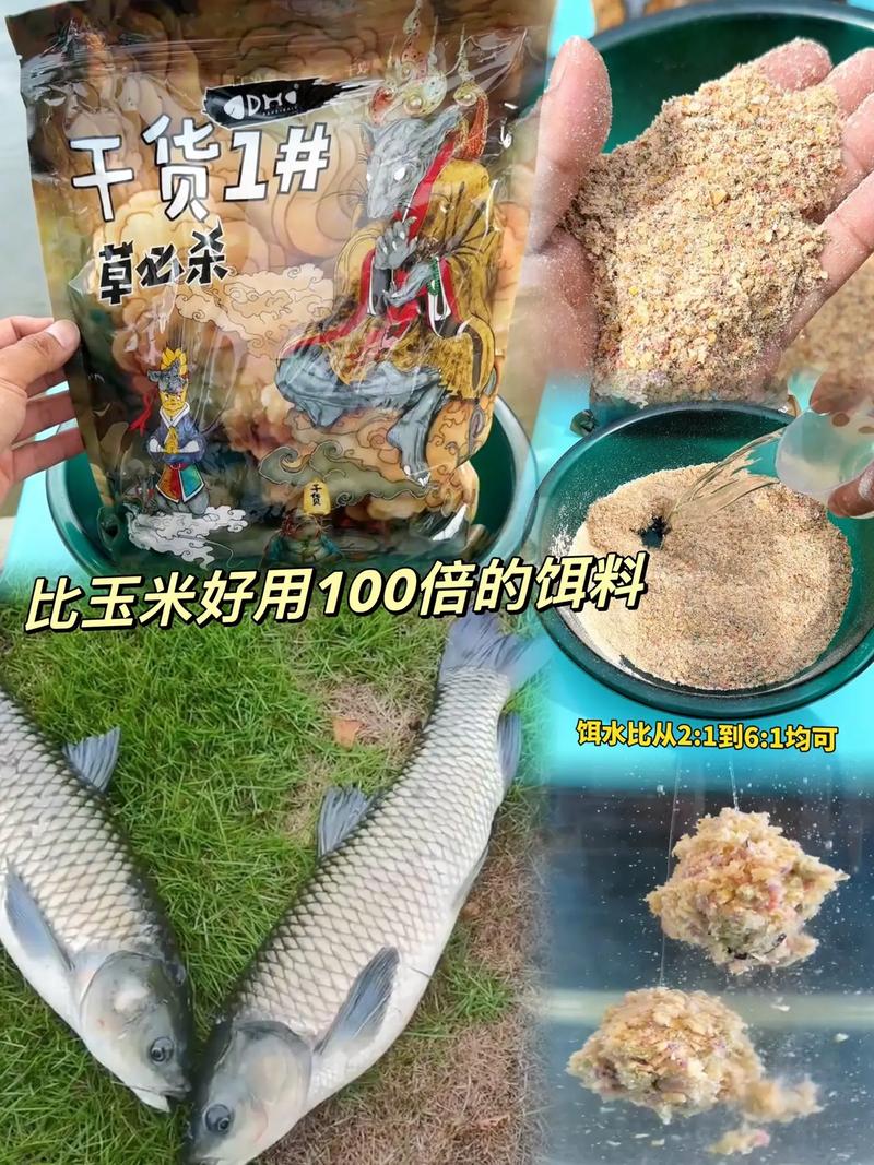 鮮玉米搓餌釣草魚_釣草魚最佳水溫_秋季釣草魚用什么餌料最好