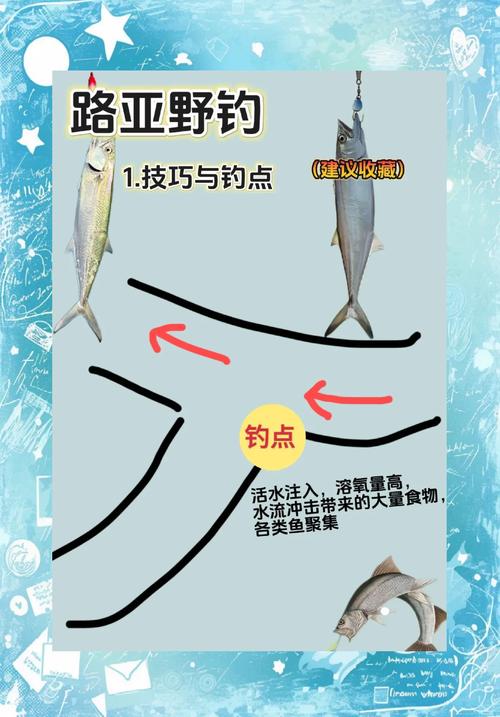 冬季釣魚釣位選擇_水草區冬季釣魚技巧_冬季怎樣釣魚