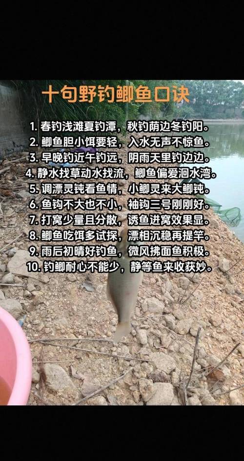 野戰藍鯽配餌思路技巧_冬天釣鯽魚餌料配方_野戰藍鯽冬季釣鯽魚配方