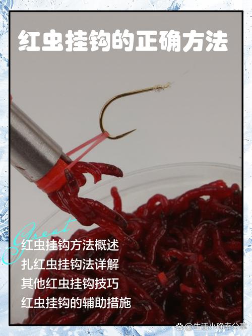 冬釣鯽魚技巧_冬天釣魚_冬季鯽魚釣法