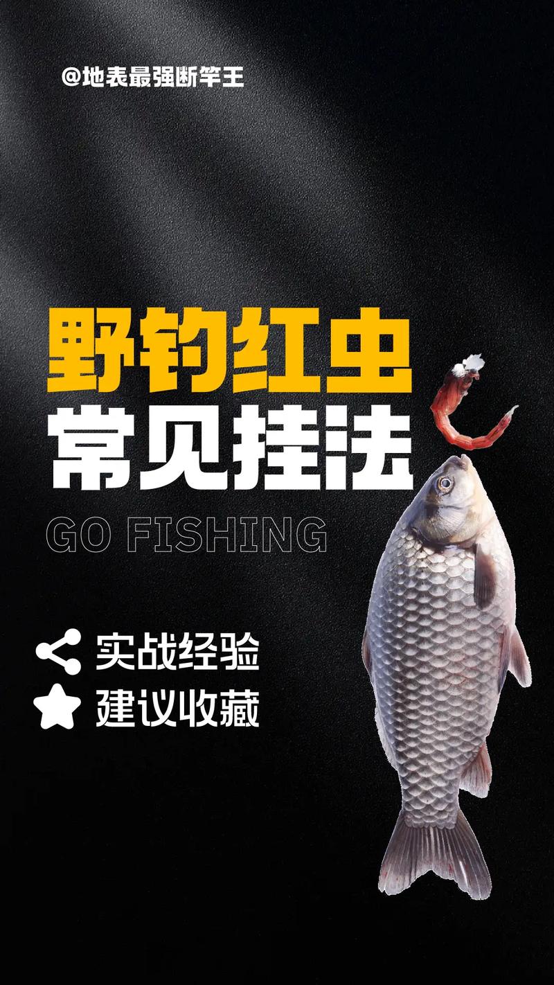 6種用紅蟲釣魚的方法必看_紅蟲病真相_紅蟲謠言