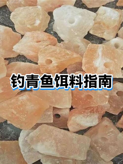 釣青魚用什么魚竿好_釣青魚用什么餌料_浮釣草魚用什么餌料好