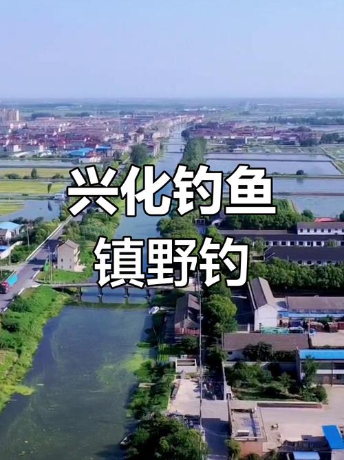 興化釣魚鎮釣魚的地方_興化垂釣收費_興化收費20釣魚地方