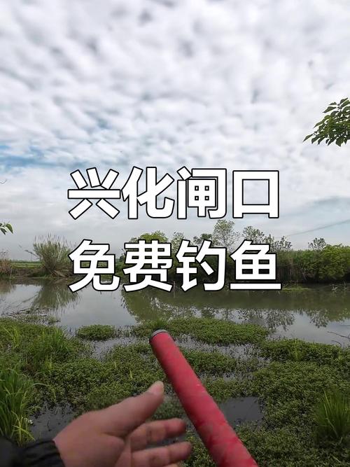 興化垂釣收費_興化收費20釣魚地方_興化釣魚鎮釣魚的地方