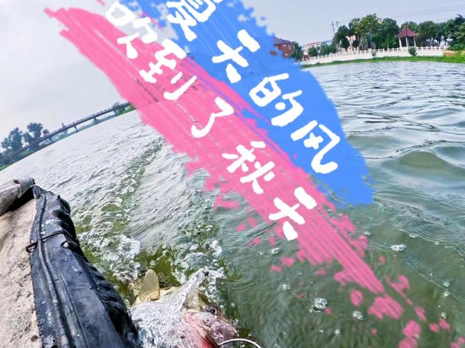 興化垂釣收費_興化釣魚鎮釣魚的地方_興化收費20釣魚地方