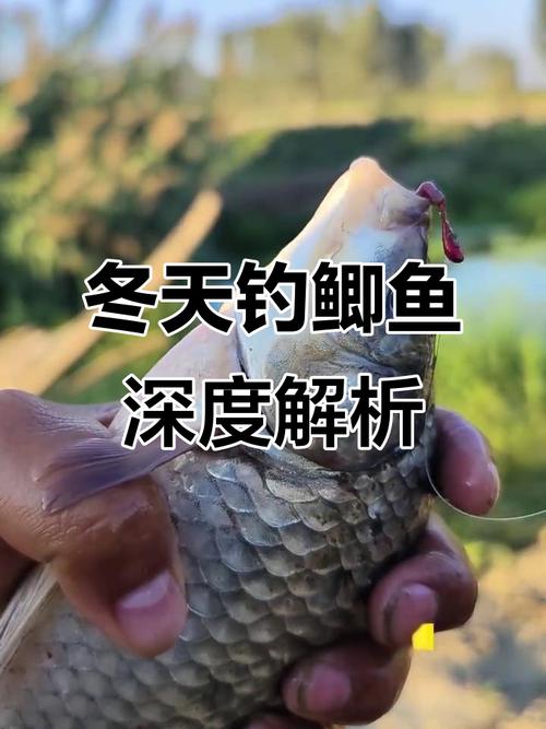 冬天水庫釣魚釣多深水_冬季垂釣釣點選擇技巧_冬季垂釣釣深還是釣淺