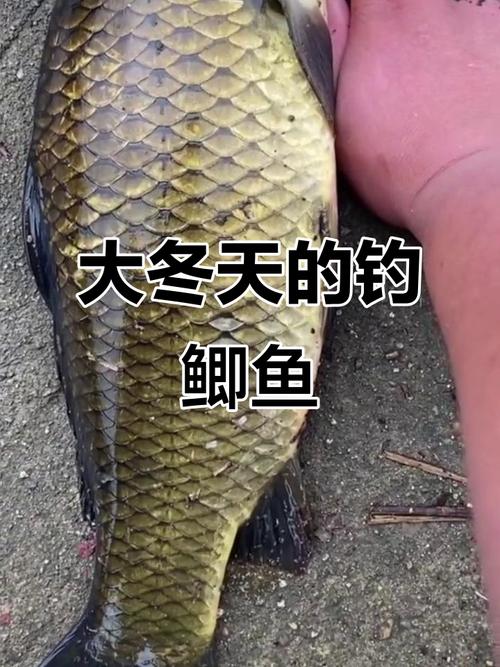 冬季垂釣釣點選擇技巧_冬天水庫釣魚釣多深水_冬季垂釣釣深還是釣淺