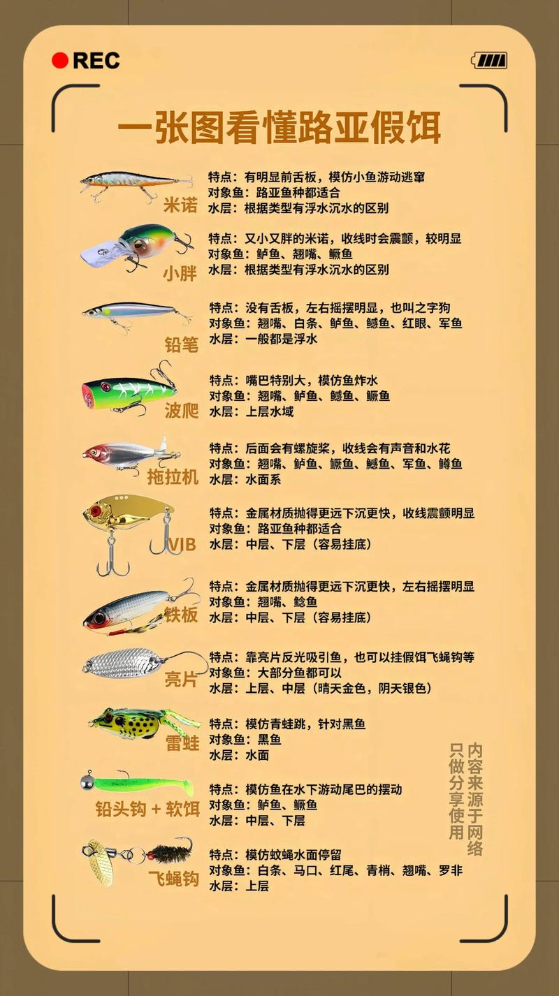 路亞海鱸的軟蟲假餌選擇技巧_目標魚種潮汐節律匹配_路亞海釣技巧