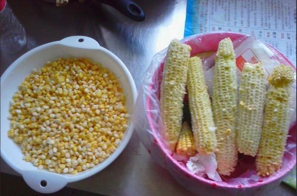 晚上釣草魚用什么餌最好_釣大草魚經驗分享_釣大草魚技巧
