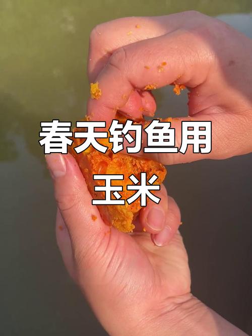 水庫釣草魚技巧_草魚春季垂釣攻略_晚秋釣草魚用什么餌最好