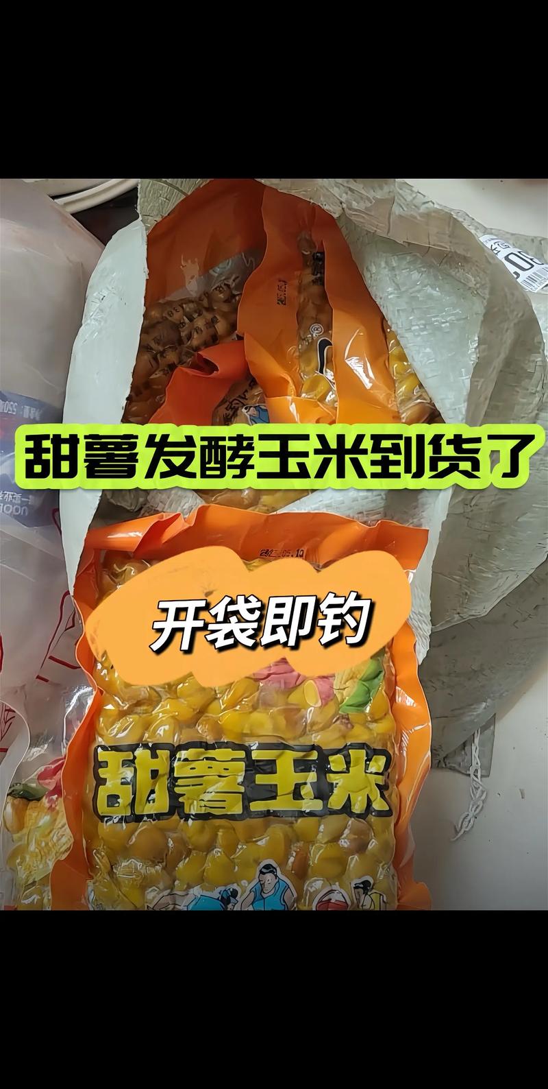 草魚春季垂釣攻略_晚秋釣草魚用什么餌最好_水庫釣草魚技巧