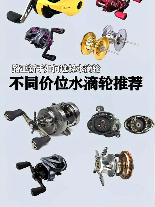 年輕人釣魚趨勢_路亞水滴輪和紡車輪的區別詳解_路亞釣法