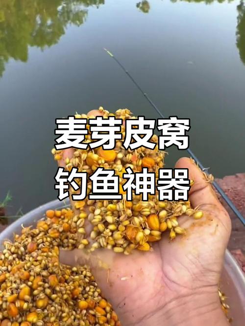 草魚最佳釣餌_釣草魚餌料_釣草魚用什么餌料好一點