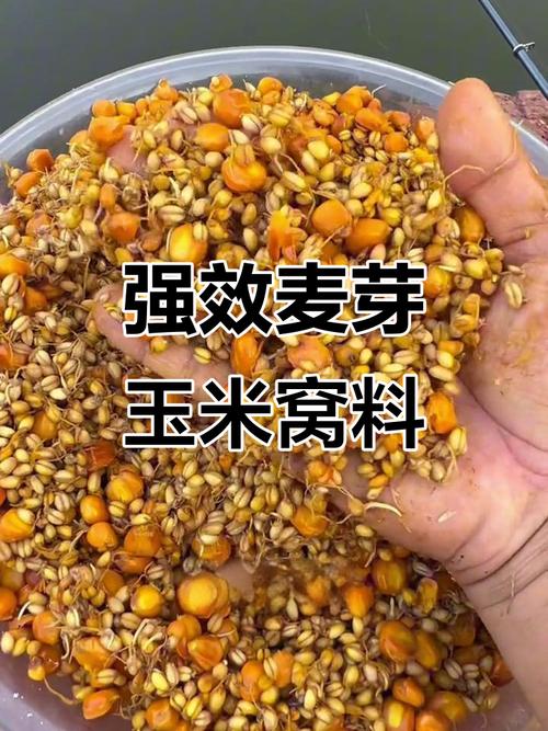 草魚最佳釣餌_釣草魚餌料_釣草魚用什么餌料好一點