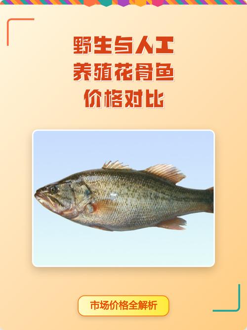 花骨魚養殖前景及利潤分析_花骨魚市場價多少一斤_花骨魚別稱麻鯉價格分布