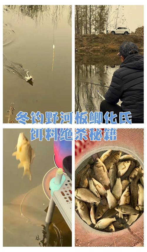 化氏大板鯽經典配方大全_化氏大板鯽九一八餌料能不能加_化氏大板鯽加老鬼九一八餌料搭配