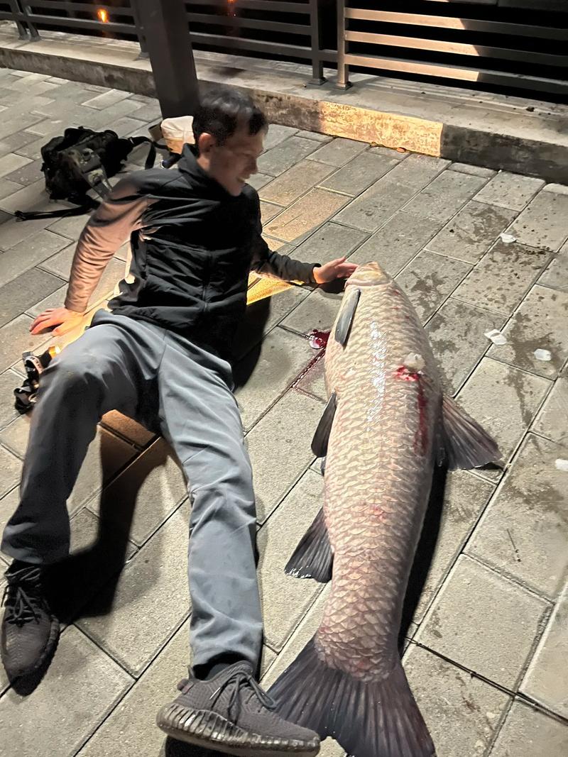 田螺掛鉤方法_田螺釣魚技巧_螺螄青怎么垂釣必看