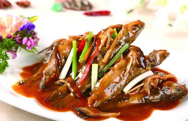 黃刺魚和黃顙魚有什么區別_黃顙魚價格查詢_黃顙魚不同體型價格