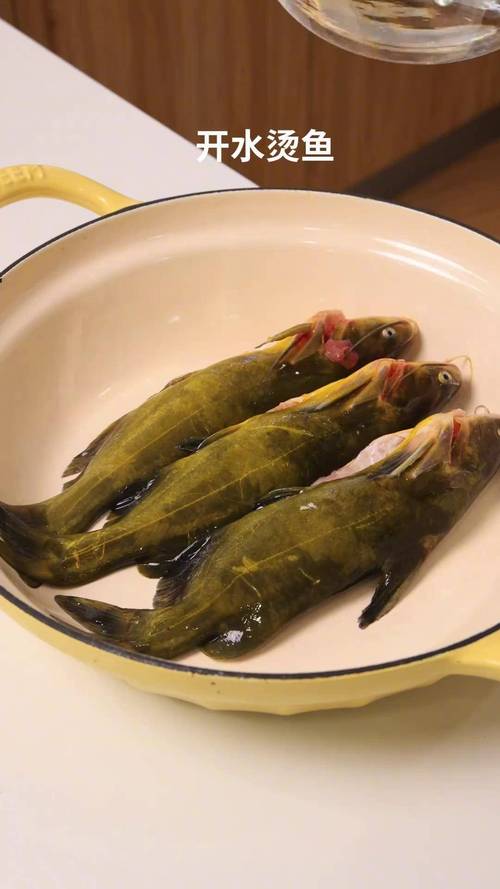 黃顙魚價格查詢_黃刺魚和黃顙魚有什么區別_黃顙魚不同體型價格