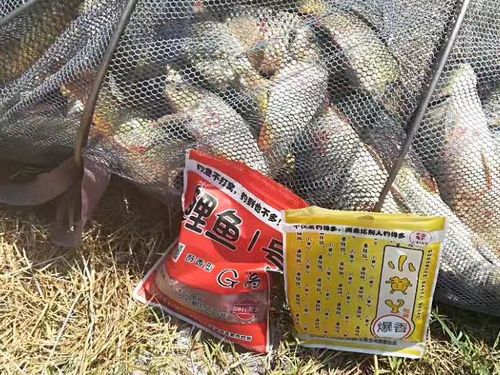 玉米嫩芽麥粒紅薯釣草魚_小黃丫釣草魚餌料怎么配_釣草魚頂級餌料