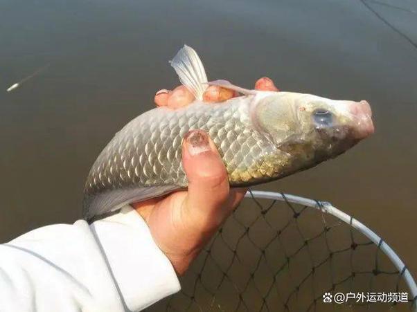 安慶天氣預報 2024年10月 _ 安慶未來一周天氣 _安慶釣魚天氣_安慶氣壓預報_安慶天氣預報