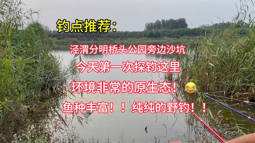 西安周邊免費野釣地點_灞河灃河浐河釣點推薦_西安周邊釣魚的野塘子