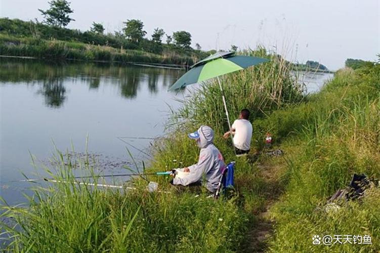 早春水庫釣魚技巧_早春釣魚淺灘規律_早春鯽魚釣位選擇技巧