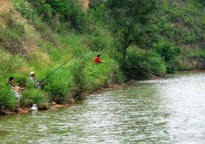 早春水庫釣魚技巧_早春鯽魚釣位選擇技巧_早春釣魚淺灘規律
