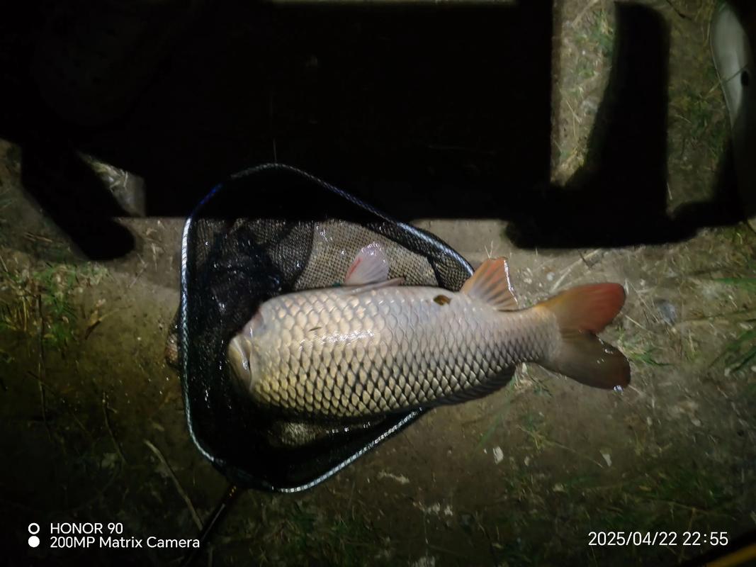 夏天傍晚釣魚技巧_減少空軍經驗_野釣干貨技巧