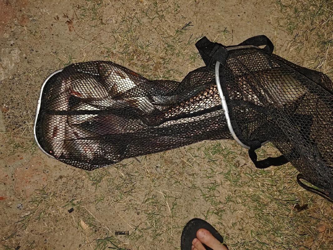 夏天傍晚釣魚技巧_減少空軍經驗_野釣干貨技巧