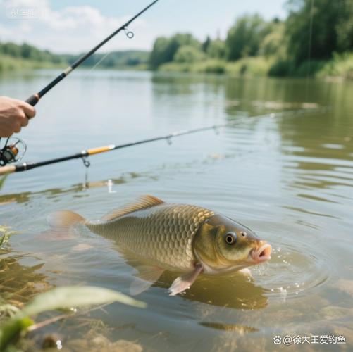 釣鯽魚技巧_野釣雜魚多口很亂怎么辦_規避小雜魚鬧鉤