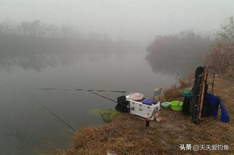 初冬野雜魚鬧咋釣？_初冬鯽魚淺水取暖_風向朝向影響水溫