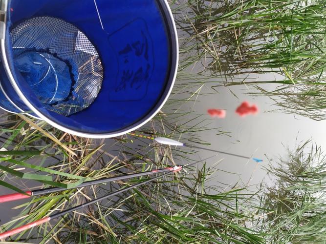 深水區垂釣方法_初冬野雜魚鬧咋釣？_初冬釣魚技巧