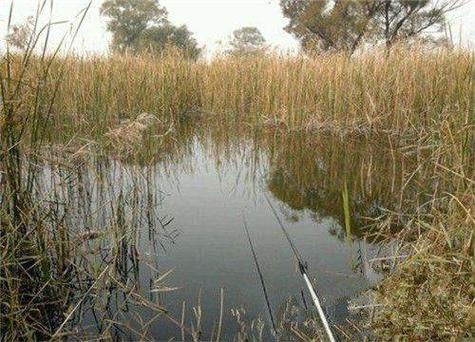 初冬釣魚技巧_深水區垂釣方法_初冬野雜魚鬧咋釣？