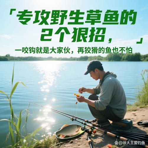 草魚餌料系數一般是多少_草魚飼料配方比例_草魚不同生長階段飼料配方