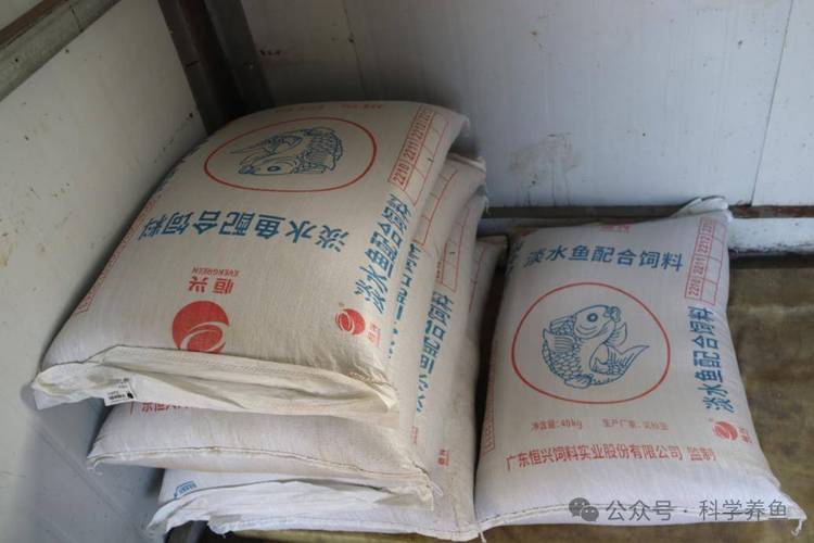 草魚餌料系數標準_草魚科學投喂_草魚養殖管理