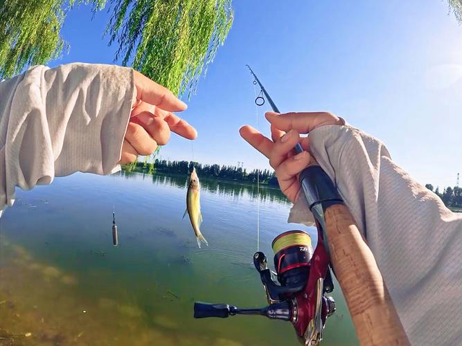 飛蠅釣_飛蠅釣_飛蠅釣