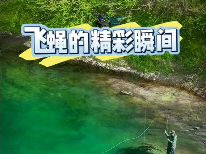 飛蠅釣_飛蠅釣_飛蠅釣