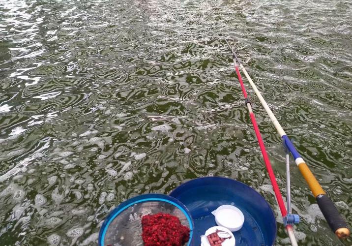 野釣28調還是37調_野釣魚竿37調性選擇攻略_新手野釣28調性魚竿優勢