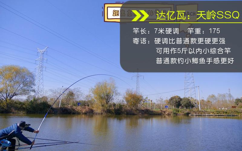 野釣28調還是37調_野釣鯽魚調性選擇_28調37調鯽魚竿技巧