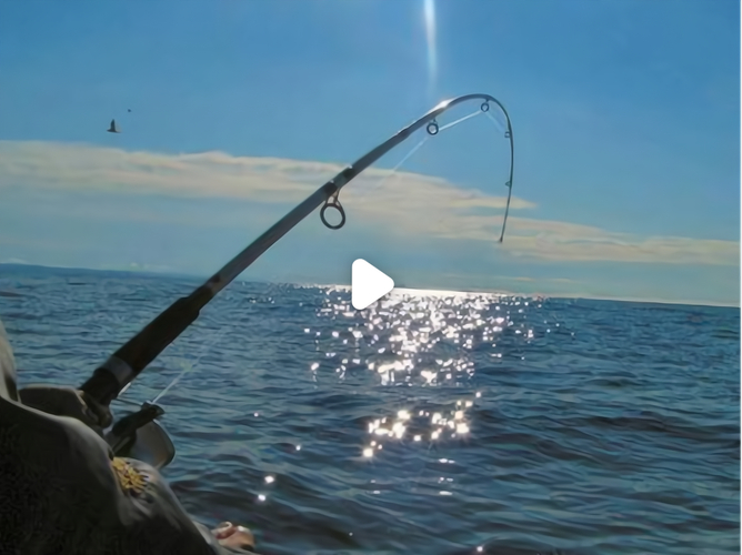 科尼漁具_科尼漁具品牌優勢_科尼漁具加盟前景