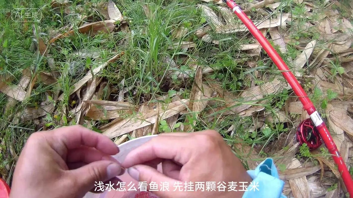 鯉魚草魚餌料配方大全_草魚餌料直播間_5種實戰配方釣位選擇技巧