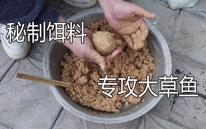 草魚餌料直播間_鯉魚草魚餌料配方大全_5種實戰配方釣位選擇技巧