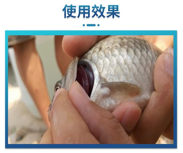 5種實戰配方釣位選擇技巧_草魚餌料直播間_鯉魚草魚餌料配方大全
