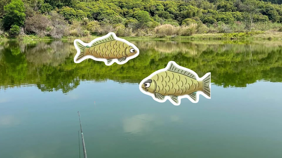 釣草魚怎么調漂最好_釣草魚餌料怎么調漂最合適_釣草魚標準調漂技巧