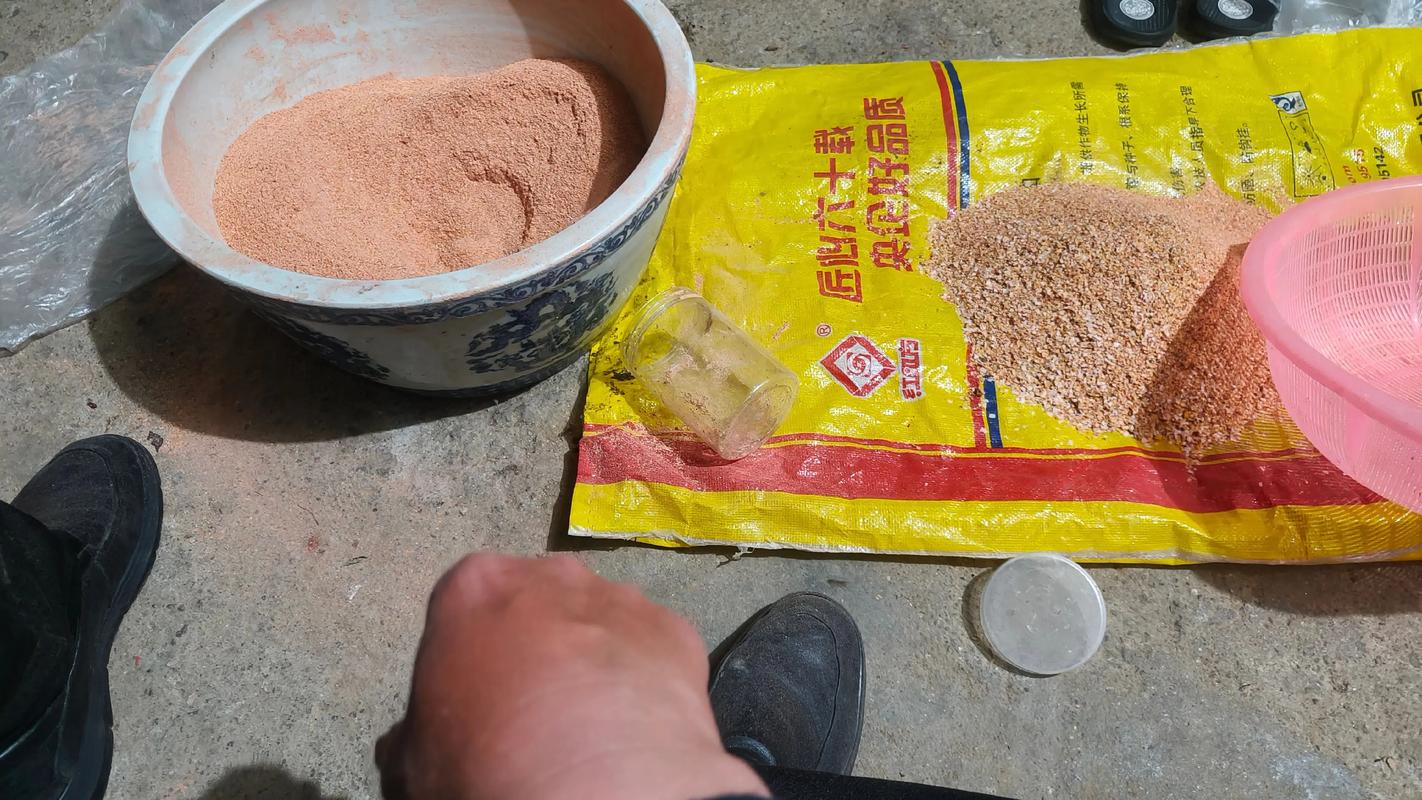釣草魚串鉤釣法_串鉤釣草魚用什么餌料好_釣餌料草魚好用串鉤嗎