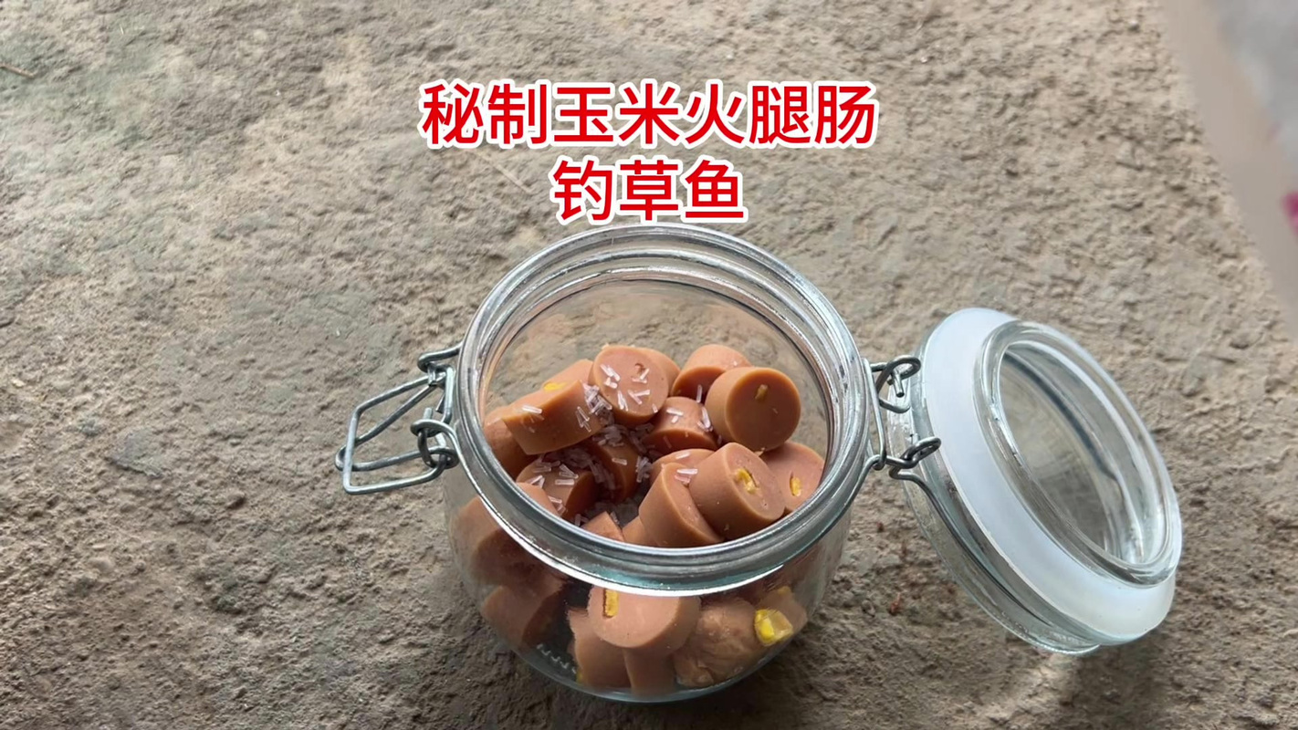 釣草魚玉米餌配方_路亞釣草魚用什么餌料_草魚餌料制作教程