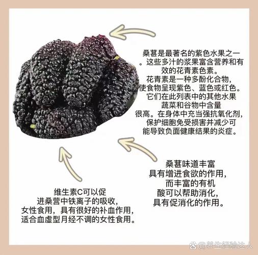 孕婦慎吃桑葚_4類人群不宜吃桑葚_桑葚食用禁忌