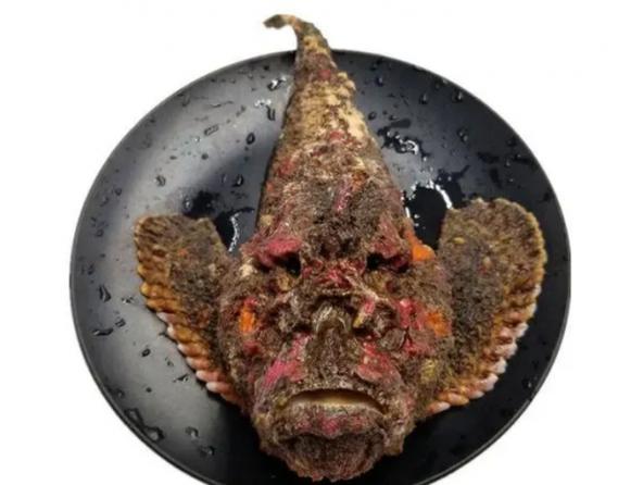 老虎魚有毒嗎_虎頭魚頭部棘刺毒性_虎頭魚棘刺有毒